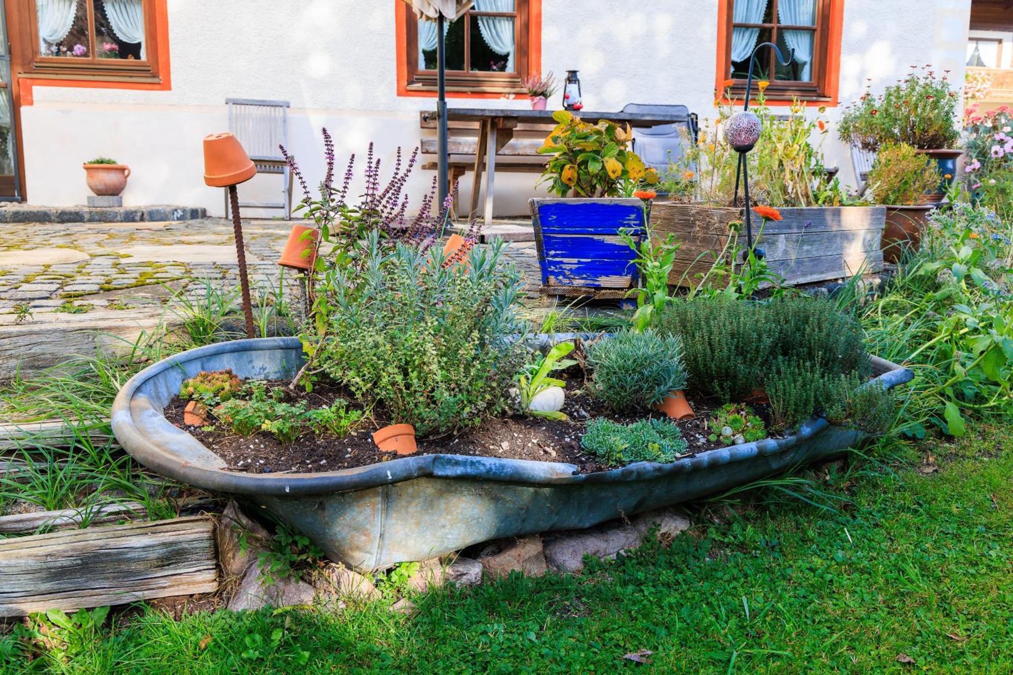 Farm stay Oberaschenauer-hof Inkl. Chiemgaukarte Ruhpolding