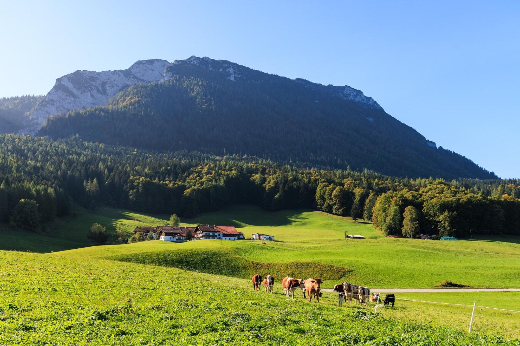 Oberaschenauer-hof Inkl. Chiemgaukarte